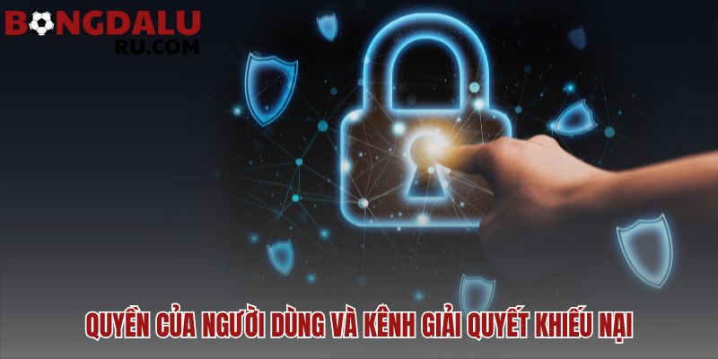 Chính sách bảo mật tại hệ thống đảm bảo quyền truy cập và sửa đổi dữ liệu